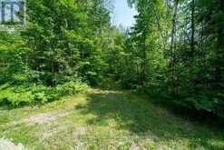 0 BEBRIS RD LOT 15 ROAD | Arden Ontario | Slide Image Nine