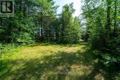 0 BEBRIS RD LOT 15 ROAD | Arden Ontario | Slide Image Eight