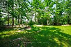 41 HALL CRESCENT | North Kawartha Ontario | Slide Image Forty-four