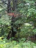 958 NORTH MARY LAKE ROAD | Huntsville Ontario | Slide Image Two