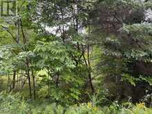 958 NORTH MARY LAKE ROAD | Huntsville Ontario | Slide Image Four
