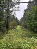 964 NORTH MARY LAKE ROAD | Huntsville Ontario | Slide Image Two