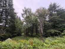 964 NORTH MARY LAKE ROAD | Huntsville Ontario | Slide Image Three