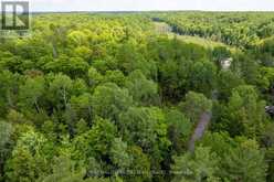 00 JOHNSON ROAD | Apsley Ontario | Slide Image Ten