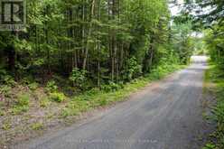 00 JOHNSON ROAD | Apsley Ontario | Slide Image Five