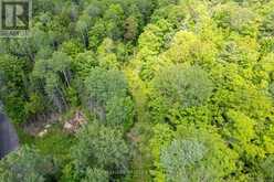00 JOHNSON ROAD | Apsley Ontario | Slide Image Nine