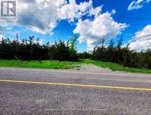 2098 13TH LINE E | Marmora Ontario | Slide Image Five