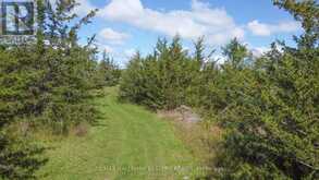 2098 13TH LINE E | Marmora Ontario | Slide Image Seven