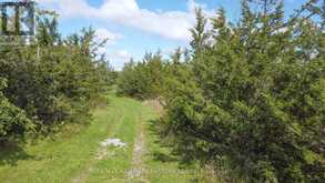 2098 13TH LINE E | Marmora Ontario | Slide Image Eight
