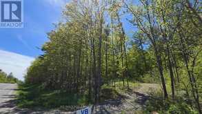 N/A COUNTY ROAD 30 | Campbellford Ontario | Slide Image One