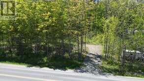 N/A COUNTY ROAD 30 | Campbellford Ontario | Slide Image Two
