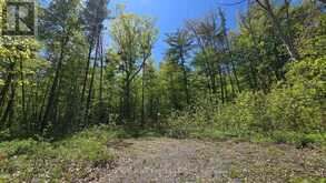 N/A COUNTY ROAD 30 | Campbellford Ontario | Slide Image Four