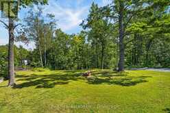 2331 LAKESIDE DRIVE | North Kawartha Ontario | Slide Image Forty-seven