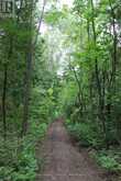 0 FIFE'S BAY ROAD | Peterborough Ontario | Slide Image One