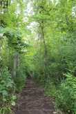0 FIFE'S BAY ROAD | Peterborough Ontario | Slide Image Four