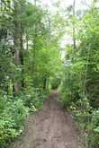 0 FIFE'S BAY ROAD | Peterborough Ontario | Slide Image Five