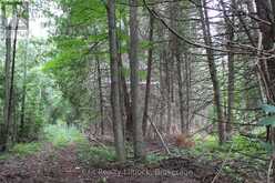 0 FIFE'S BAY ROAD | Peterborough Ontario | Slide Image Six