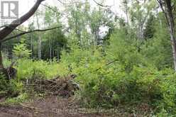 0 FIFE'S BAY ROAD | Peterborough Ontario | Slide Image Seven