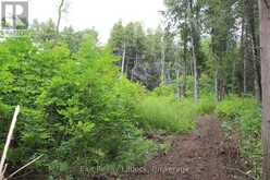 0 FIFE'S BAY ROAD | Peterborough Ontario | Slide Image Eight