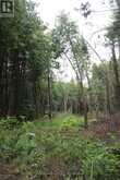 0 FIFE'S BAY ROAD | Peterborough Ontario | Slide Image Nine