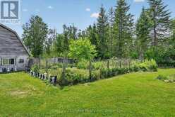 93 LOOP LINE | Kawartha Lakes Ontario | Slide Image Forty-five