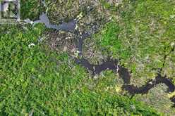 93 LOOP LINE | Kawartha Lakes Ontario | Slide Image Four