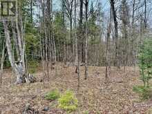 885 CLEVELAND ROAD | Madoc Ontario | Slide Image Eleven