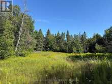 885 CLEVELAND ROAD | Madoc Ontario | Slide Image Two