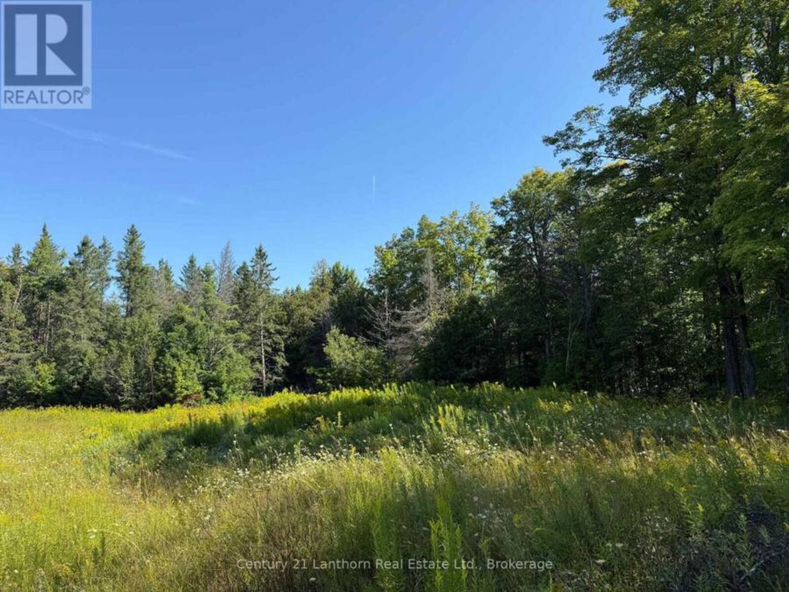 885 CLEVELAND ROAD, Madoc, Ontario K0K 2K0