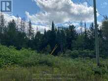 0 STONEY SETTLEMENT ROAD | Madoc Ontario | Slide Image Sixteen