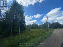 0 STONEY SETTLEMENT ROAD | Madoc Ontario | Slide Image Twenty-two