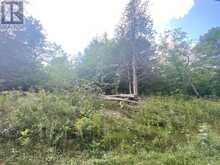 0 STONEY SETTLEMENT ROAD | Madoc Ontario | Slide Image Six