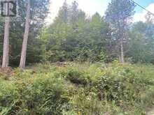 0 STONEY SETTLEMENT ROAD | Madoc Ontario | Slide Image Seven