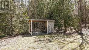 2619 BUCKHORN ROAD | North Kawartha Ontario | Slide Image Thirty-three