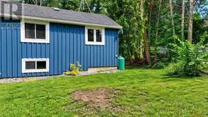 2619 BUCKHORN ROAD | North Kawartha Ontario | Slide Image Forty-five