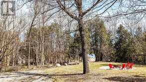 2619 BUCKHORN ROAD | North Kawartha Ontario | Slide Image Eight