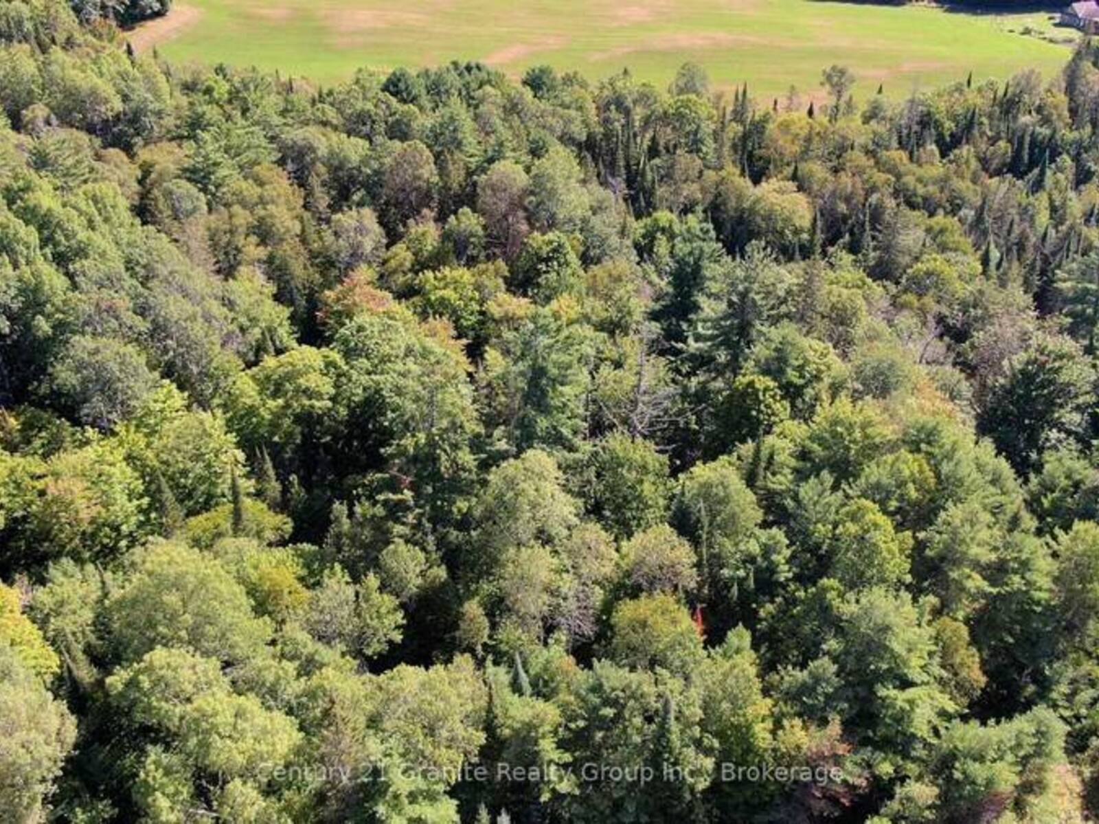 0 28 HIGHWAY E, Bancroft, Ontario K0L 1C0