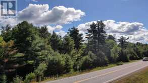 0 28 HIGHWAY E | Bancroft Ontario | Slide Image Ten