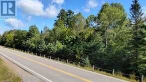0 28 HIGHWAY E | Bancroft Ontario | Slide Image Eleven