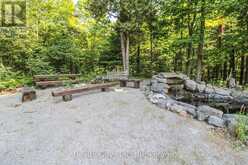891 COUNTY ROAD | Bobcaygeon Ontario | Slide Image Twelve