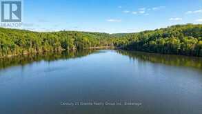 2128 OLD HASTINGS ROAD | Bancroft Ontario | Slide Image Thirty