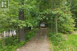 1022 TWO DOGS LANE | Algonquin Highlands Ontario | Slide Image Forty