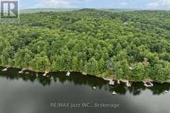 1022 TWO DOGS LANE | Algonquin Highlands Ontario | Slide Image Forty-two