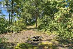 14C BOAT LAUNCH ROAD | Madoc Ontario | Slide Image Thirty-eight
