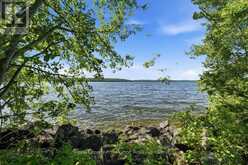 14C BOAT LAUNCH ROAD | Madoc Ontario | Slide Image Thirty-nine
