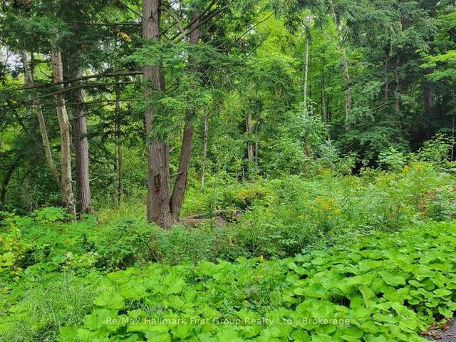 0 BLACK RIVER ROAD N Tweed Ontario, K0K 3J0 - Vacant Land For Sale