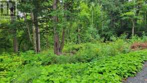0 BLACK RIVER ROAD N | Tweed Ontario | Slide Image One