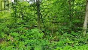 0 BLACK RIVER ROAD N | Tweed Ontario | Slide Image Eight