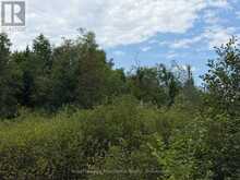 0 TWIN SISTERS LAKE ROAD | Marmora Ontario | Slide Image Six