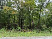 0 TWIN SISTERS LAKE ROAD | Marmora Ontario | Slide Image Twelve